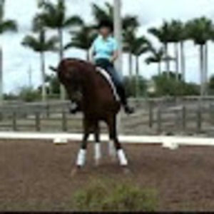 Meet your Posher, Renee